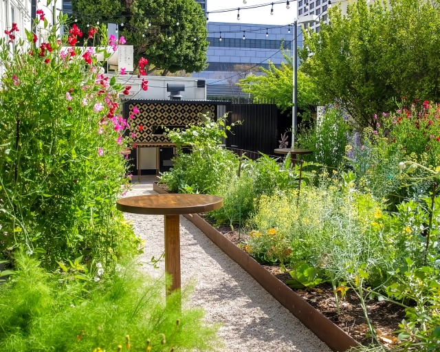 The Redbird courtyard garden, string lights over a gravel path between flower beds.